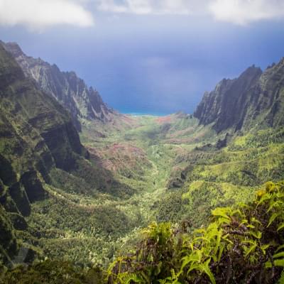 Honolulu envío de autos empresa