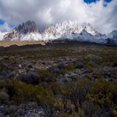 Las Cruces envío de autos empresa