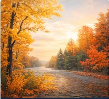 Fall foliage along a highway Fall foliage along a highway